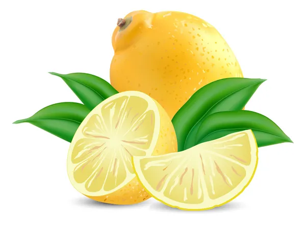 Limões frescos — Vetor de Stock