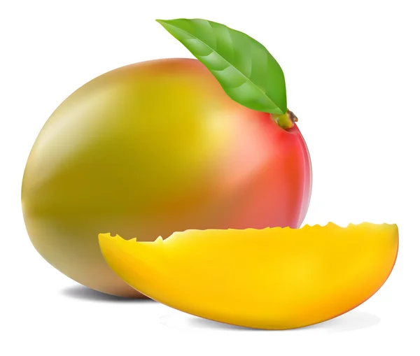 Fresh mango — Stock Vector