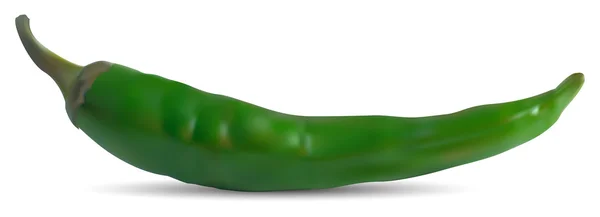 Green hot chili pepper — Stock Vector