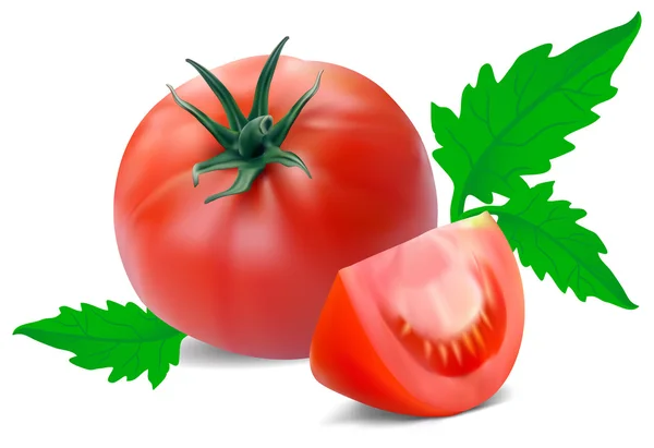 番茄与部分 — 图库矢量图片