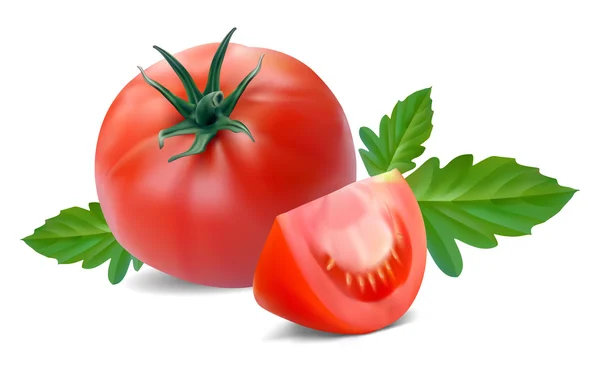 Tomato with segment — Stock Vector