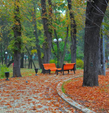 Şehir Park banklar