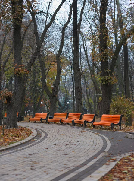 Benches in city park — Stock Photo, Image