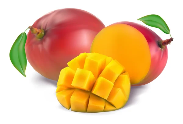 Mango mit Schnitt — Stockvektor