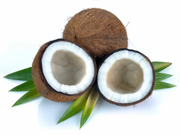 Coco con hojas — Foto de Stock