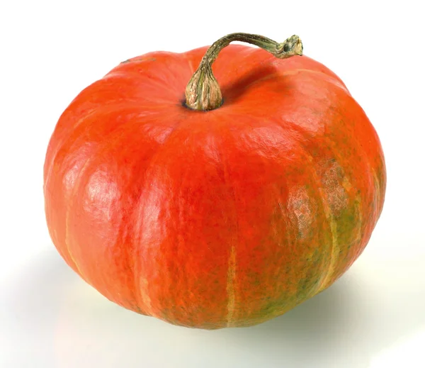 Orange pumpkin on white — Stock Photo, Image