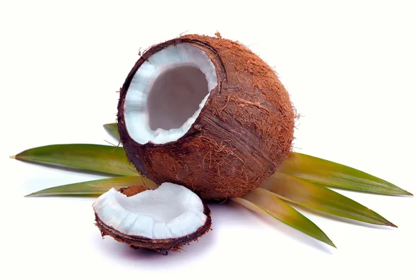 Kokos z liści — Zdjęcie stockowe