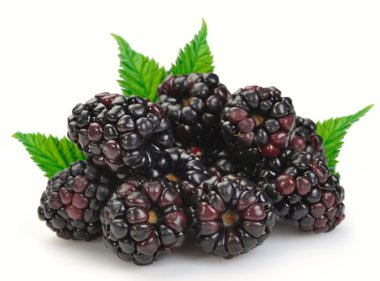 Dewberries (blackberries) and green leaves are on white background clipart