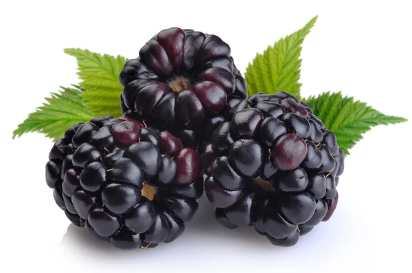Dewberries (blackberries) — Stock Photo, Image