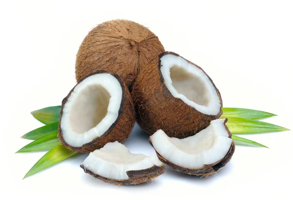 Kokosnuss Mit Blättern Nahaufnahme Auf Weißem Hintergrund — Stockfoto