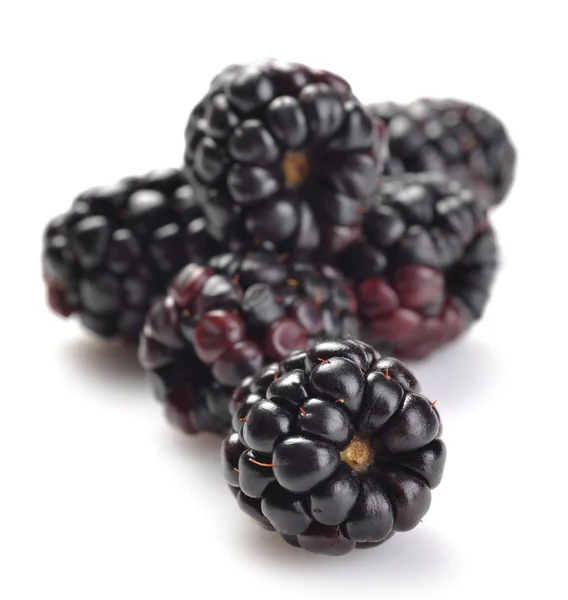 Dewberries Βατόμουρα Άσπρο Φόντο — Φωτογραφία Αρχείου