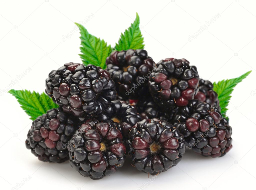 Dewberries (blackberries) — Stock Photo © sergioz 4873200