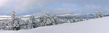 Panorama of a winter landscape of Ai-Petri clipart