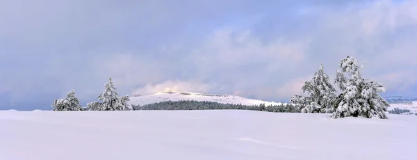 Panorama Över Vinterlandskap Petri — Stockfoto