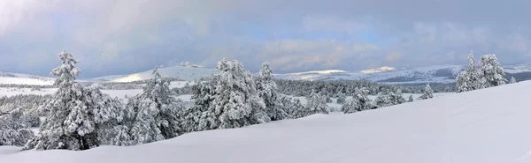Panorama zimní krajiny ai-petri — Stock fotografie