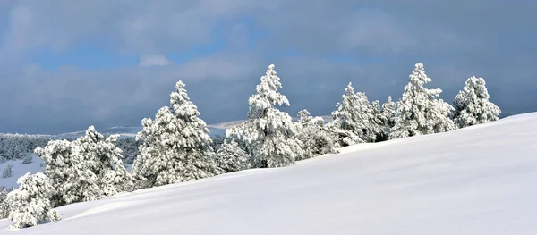 Panorama d'un paysage hivernal d'Ai-Petri — Photo