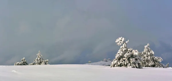 Panorama Einer Winterlandschaft Von Petri — Stockfoto
