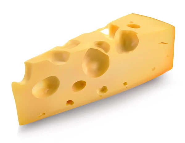 Piece of cheese — Stock Vector