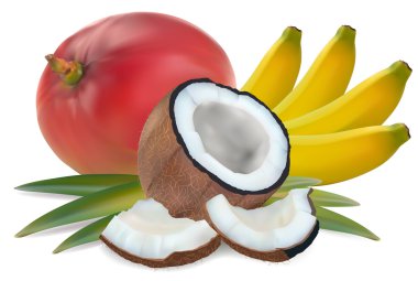 Tropical fruit clipart