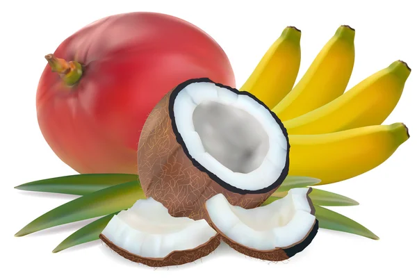 Frutas tropicais — Vetor de Stock