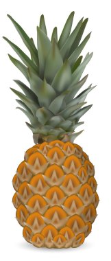 taze ananas