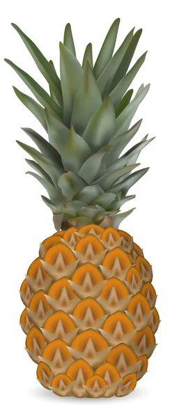 Friss ananász — Stock Vector
