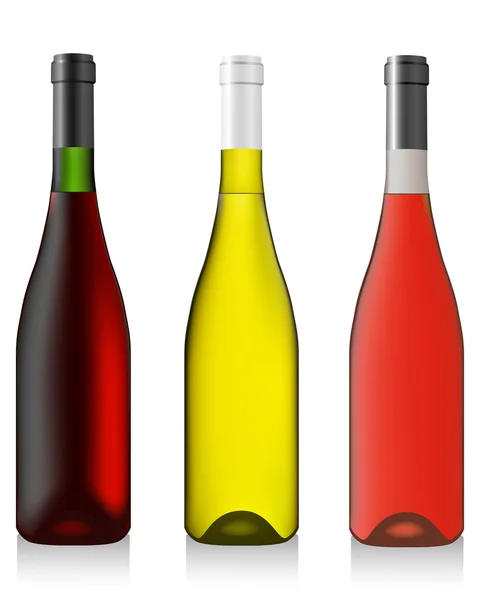 Üç şişe şarap — Stok Vektör