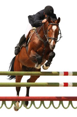 Show jumping clipart