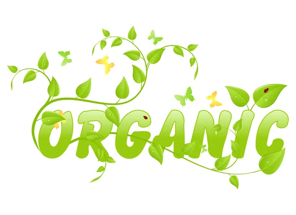 Orgânico ecológico — Vetor de Stock