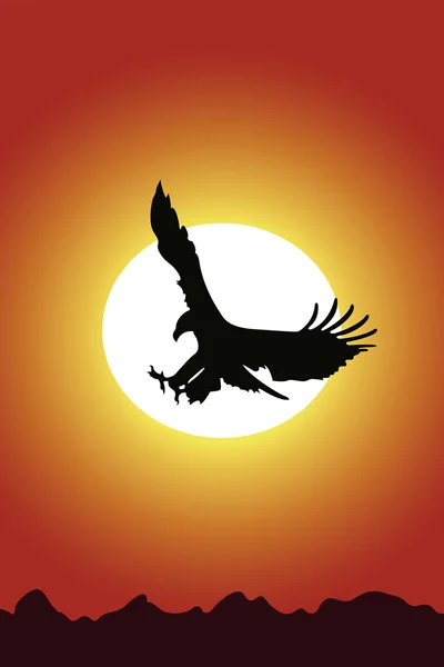 Eagle and sunset — Stock Vector