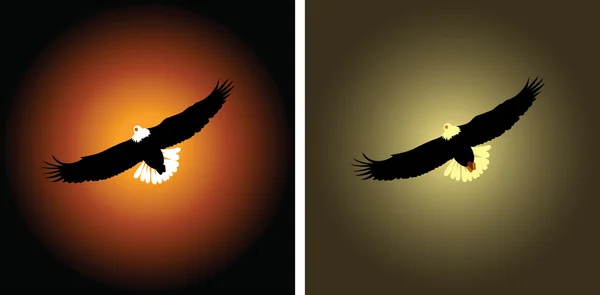 Aigle et ciel — Image vectorielle