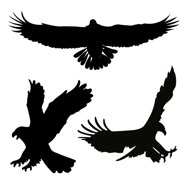 Silhouette a oiseaux — Image vectorielle