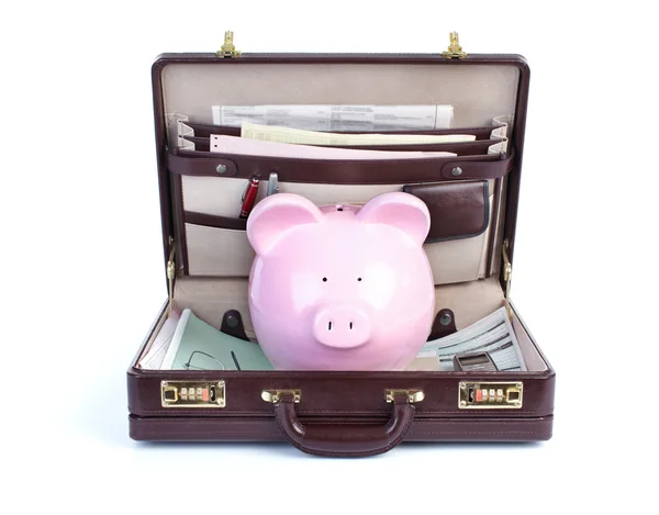 Cerdo y portofolio — Foto de Stock