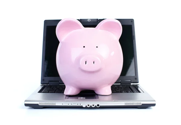 Pig and notebook computer — Stock Photo, Image