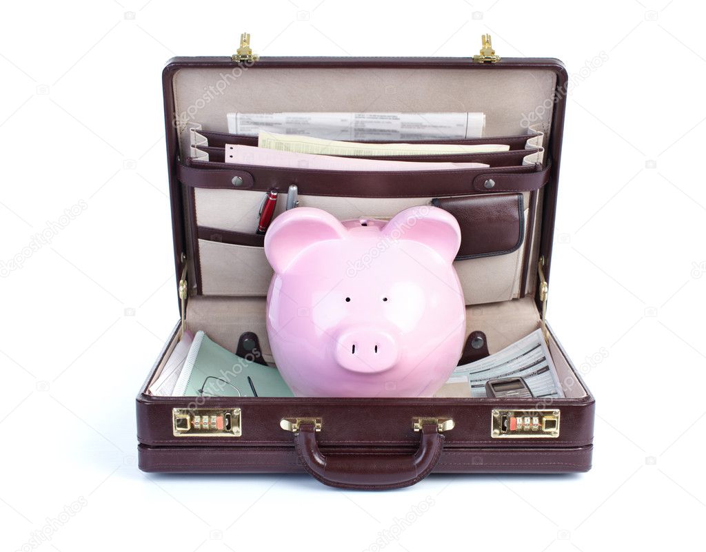 Pig and portofolio