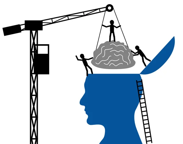Kopf Und Gehirn Auf Weißem Hintergrund — Stockvektor
