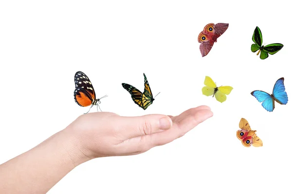 Mão e borboleta — Fotografia de Stock