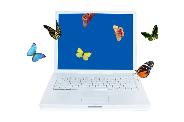 Комп'ютер і метелик — стокове фото