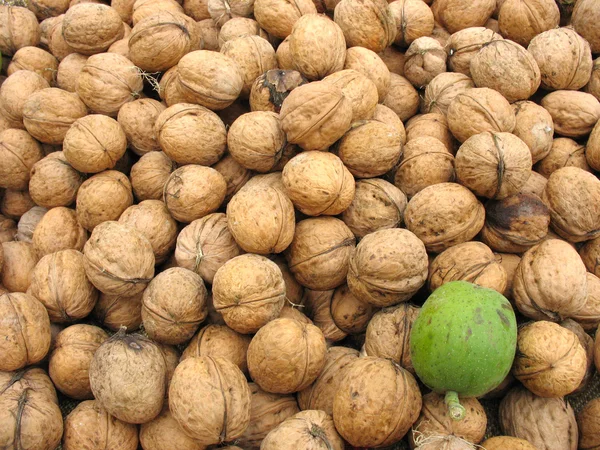 Brown whole organic walnuts as background — Stock Photo, Image