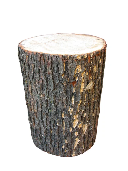 Vidoeiro madeira log isolado em branco — Fotografia de Stock