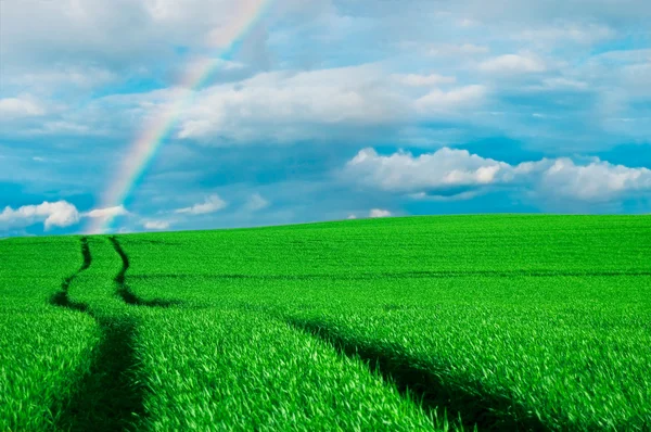 Imagen conceptual del arco iris . — Foto de Stock