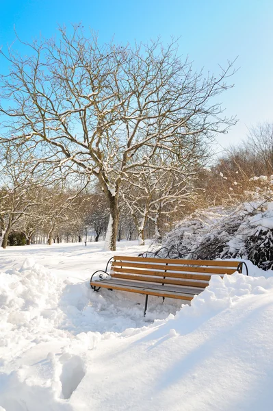 Wunderschöne Winterlandschaft mit schneebedeckter Bank und Bäumen — Stockfoto