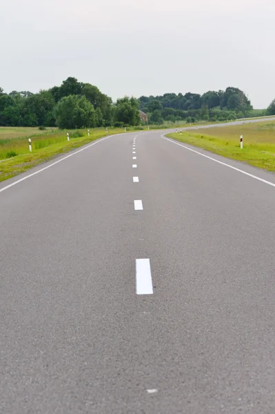 Stock image Tree lined country road