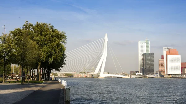 Vista Sul Fiume Mosa Rotterdam Paesi Bassi — Foto Stock