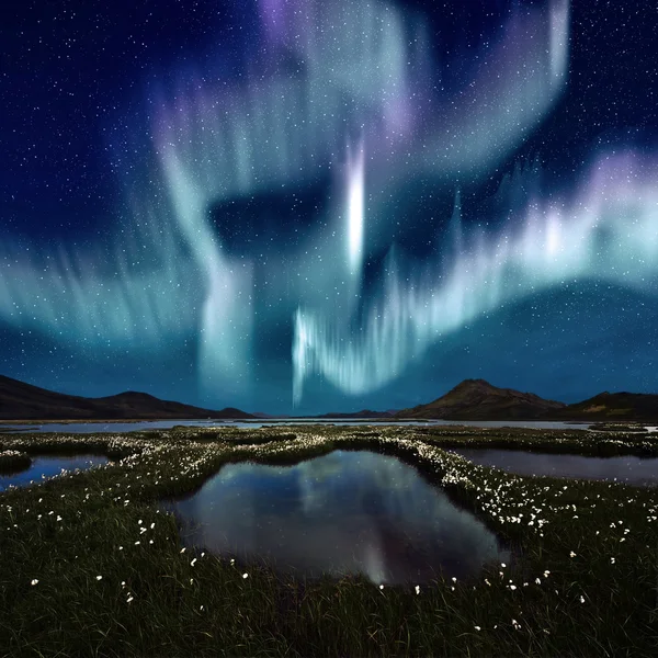 Noordse borealis — Stockfoto