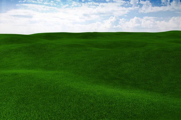 3d línea de hierba — Foto de Stock