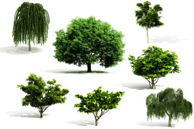 3d tree pack - render on white background clipart