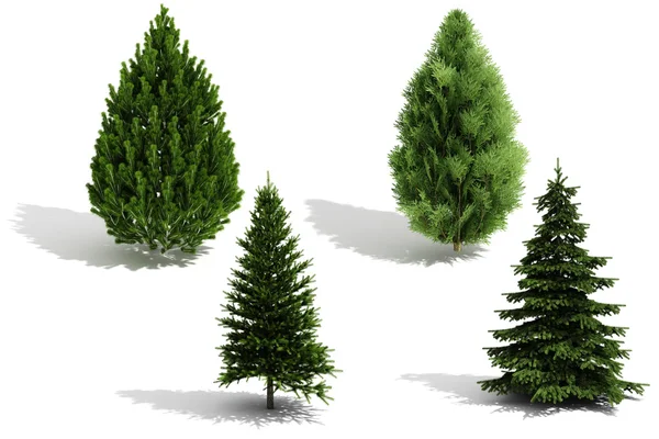 3D träd pack - render på vit bakgrund — Stockfoto