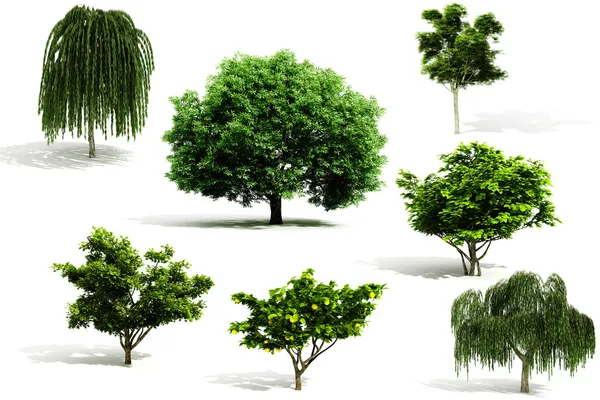 Paquete de árbol 3d - renderizar sobre fondo blanco — Foto de Stock