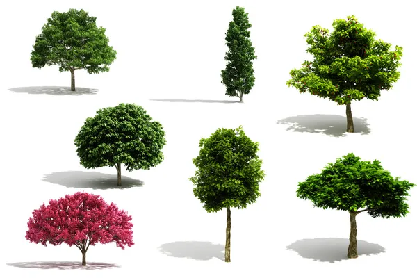 3d tree pack - визуализация на белом фоне — стоковое фото